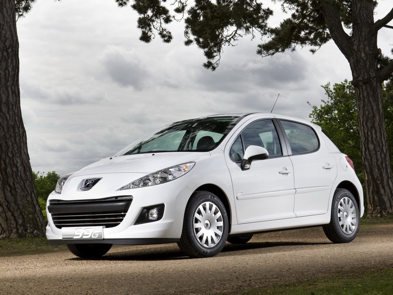 Снижаем расход Peugeot 207 на топливо, устанавливаем ГБО