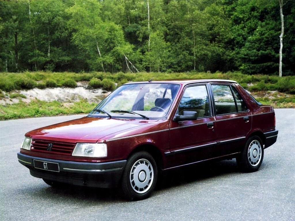 Снижаем расход Peugeot 309 на топливо, устанавливаем ГБО