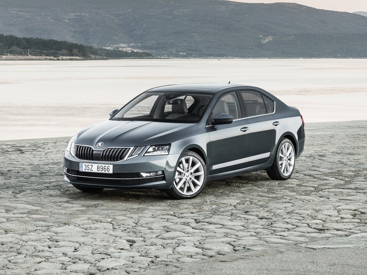 Снижаем расход Skoda Octavia на топливо, устанавливаем ГБО